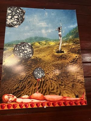 The owners art! He was kind enough to share the story behind the art at Stashus Con Fusion in Puerto Viejo De Talamanca