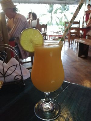  at Stashus Con Fusion in Puerto Viejo De Talamanca