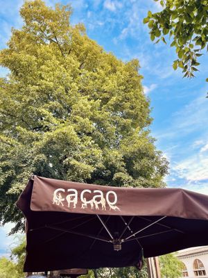   at Kavarna Cacao in Ljubljana