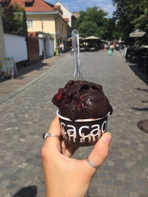 Vegan dark chocolate and raspberry  at Kavarna Cacao in Ljubljana