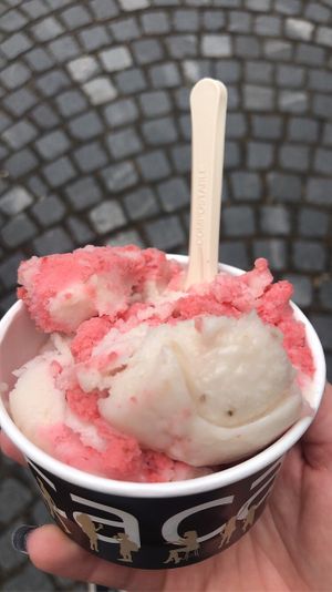 fit ice flavor  at Kavarna Cacao in Ljubljana