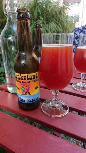 Funkyland, local beer from Malmö at The Raw Kitchen Malmö in Malmo