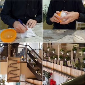 Ordering process for upstairs seating - hilarious! at Your Coffee in Hilversum