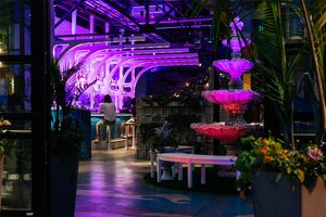 Cocktail bar at night... at Bang Up To The Elephant in Denver