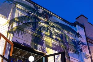 Under the palms ;) at Bang Up To The Elephant in Denver