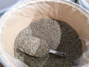 Lentils in bulk - zero waste! at Färm in Jodoigne