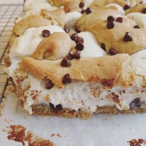 Smores Bars at Black Squirrel Bake Shop in Madison