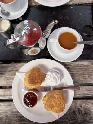   at Toby Jug Cafe in Boscastle