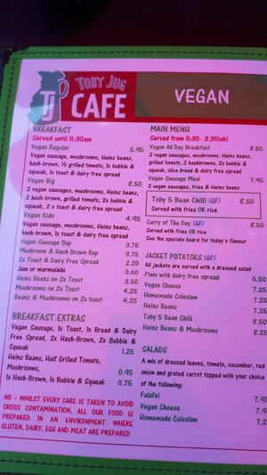 Toby Jug cafe vegan menu at Toby Jug Cafe in Boscastle
