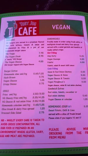Toby Jug cafe vegan menu at Toby Jug Cafe in Boscastle