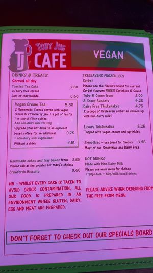 Toby Jug cafe vegan menu at Toby Jug Cafe in Boscastle