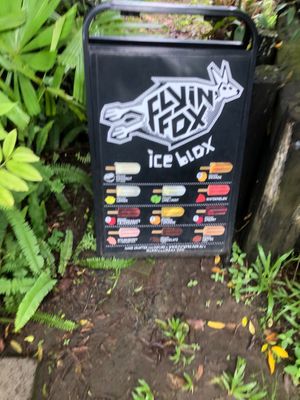 Yummy ice creams at Organic & Natural Store and Cafe in Mackay