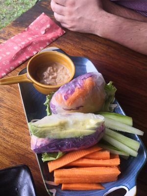 Mango springrolls  at Aroma Coffee Bar in Cahuita