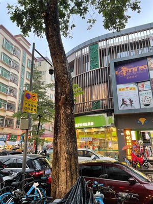  at Shang Yun in Shenzhen