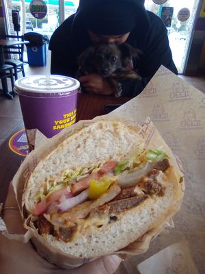 Helen Keller vegan bbq steak sandwich at Ike's Love & Sandwiches in Santa Cruz