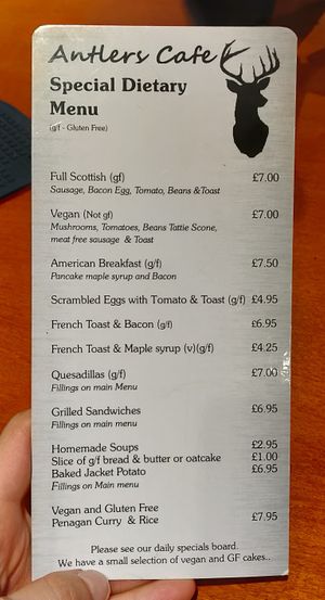 Special diets menu at Antlers Cafe in Newtonmore