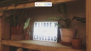 Libre de crueldad at Lazy Vegan in Santiago