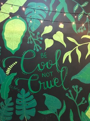 inside at Lazy Vegan in Santiago