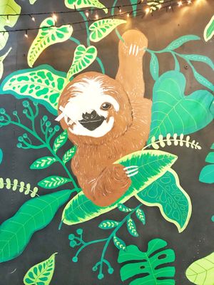 inside at Lazy Vegan in Santiago