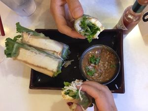 Tofu spring rolls  at House of Ramen in Portland