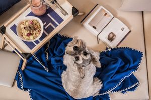 quinoa tabbouleh and fresh juice at Espacio Lagom in Arequipa