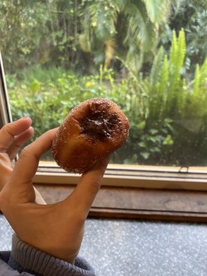 Chocolate custard donut  at Flour of Life Bakery in Helensvale