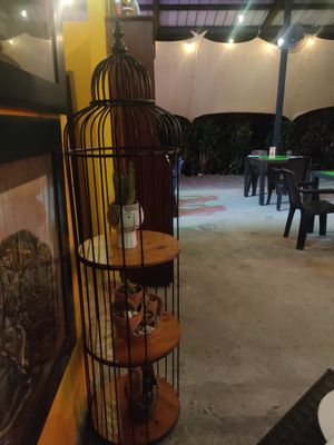  at Pizzeria Artesana in Copecito