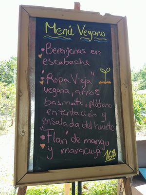vegan menu (changes each week) at Pizzeria Artesana in Copecito