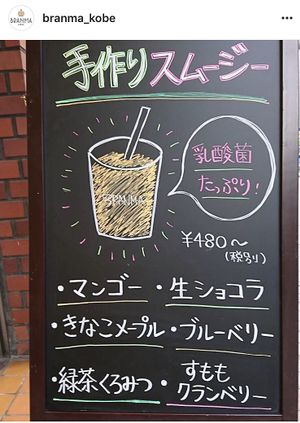 Smoothie Flavors (Mango, Kinako Maple, Green Tea w/ brown sugar, Chocolate, Blueberry, Plum-Cranberry) at Branma in Kobe