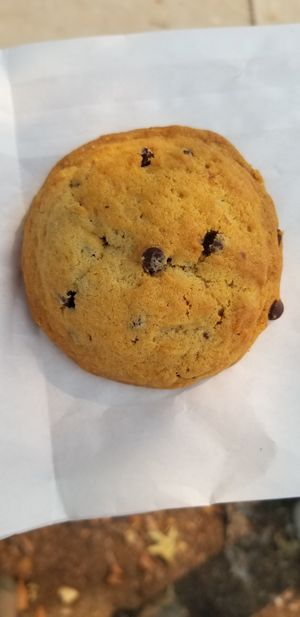 Vegan chocolate chip cookie at Cookie Tree in Yuba City