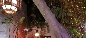  at El Escondite de Conil - Maybe closed in Conil De La Frontera