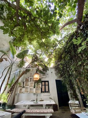 The green patio  at El Escondite de Conil - Maybe closed in Conil De La Frontera