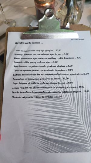 Carta vegana at El Escondite de Conil - Maybe closed in Conil De La Frontera