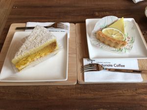 Citrus Sponge and Lemon Tart at LN Fortunate Coffee 幸福咖啡 in Taoyuan