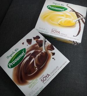 Vegan pudding at Avena in Ljutomer