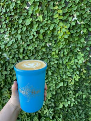  at Dark Hall Coffee in Phoenix