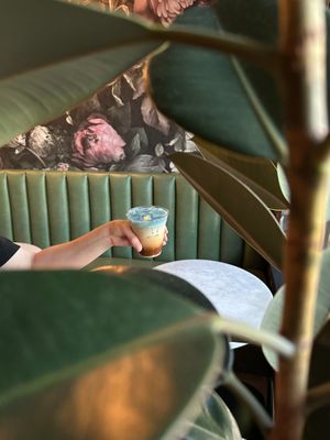  at Dark Hall Coffee in Phoenix