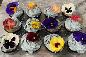 Eat More Plants at Dark Hall Coffee in Phoenix