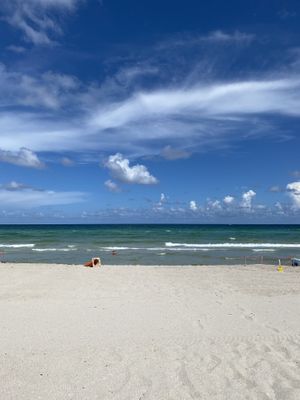 Right on the beach  at The Taco Joint in Hollywood