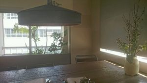 restaurant atmosphere at Shokudo Hitoto in Fukushima