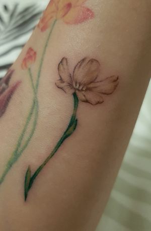 Buttercup ~ 8/3/21 at Vagabond Ink Tattoo in Central Singapore