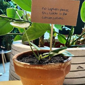 No laptops please, this table is for conversations. at Olivia's Maastricht in Maastricht
