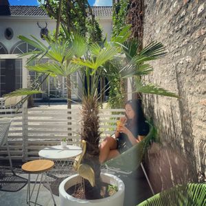 Garden at Olivia's Maastricht in Maastricht