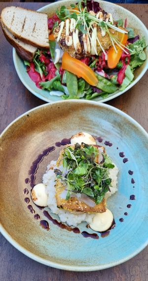 Tofu Risotto (bottom) and Tofu salad (top) at Zivago in Oulu