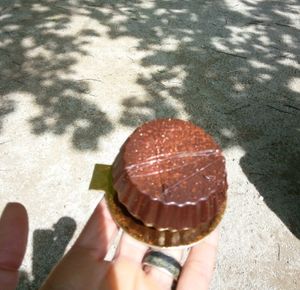  at Cocoelle Patisserie Vegetale in Besancon