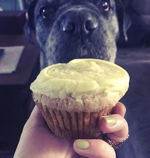 Lemon Cupcake at Pattycake Bakery in Columbus
