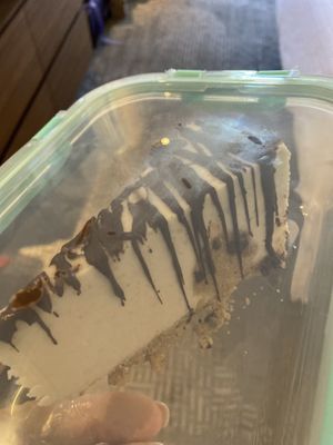 Chocolate chip cookie dough cheesecake in Pyrex deposit container - will bring back tomorrow for the $5 refund.  Great sustainable option! at Moku Roots in Kula