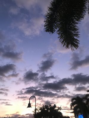 As the sun sets we wait for dinner outside at Moku Roots in Kula