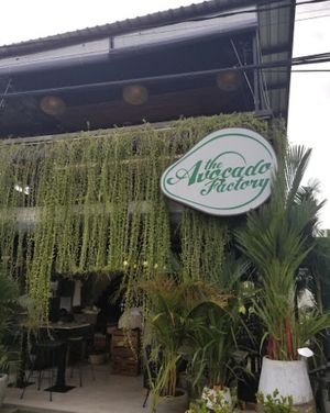 Cafe front at The Avocado Factory in Canggu