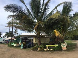 overview at Aunty's Lil Green Hut in Kahuku